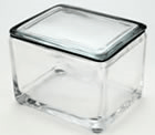 Glass Staining Dishes