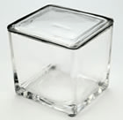 Glass Staining Dishes