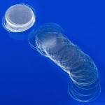 Round Coverglass