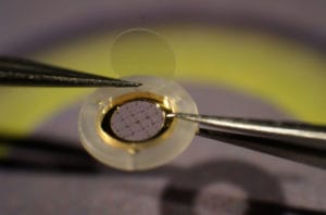 CryoCapsule ® CryoCapsule ®