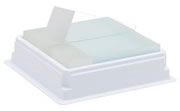 Millennia™ 2.0 Adhesion Slides, 75 x 25 mm