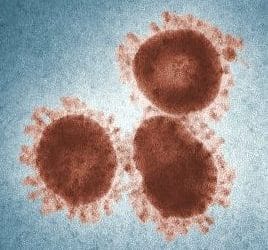 Scientists Compare Novel Coronavirus with SARS and MERS Viruses