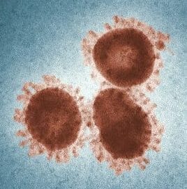 Scientists Compare Novel Coronavirus with SARS and MERS Viruses