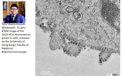 serial Killer Coronavirus