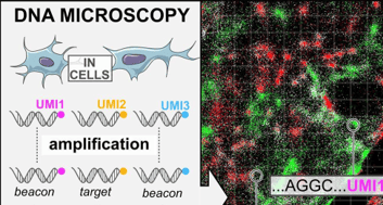DNA microscopy