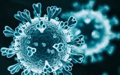 Image of the Day: Coronavirus Under the Scope