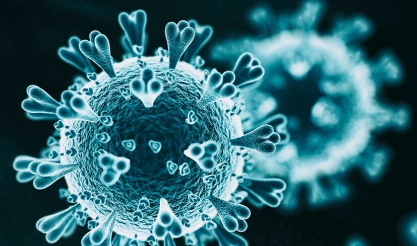 Image of the Day: Coronavirus Under the Scope