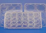  Costar® Brand Cell Culture Clusters
