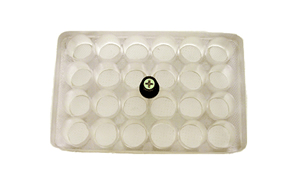 24 Meshwell Plate with Tray and Lid