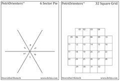 Petri Orienter and Stand
