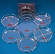 Petri Dishes; Disposable