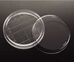 Contact Plate
