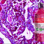 Biebrich Scarlet Solution