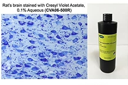 Cresyl Violet Acetate Solution
