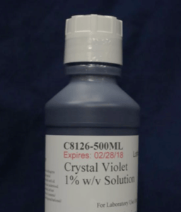 Crystal Violet Solution