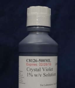 Crystal Violet Solution