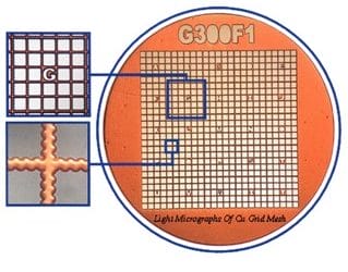 Precise location on TEM grid of your area of interest .