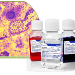 Differential Quick Staining Kit (Modified Giemsa)