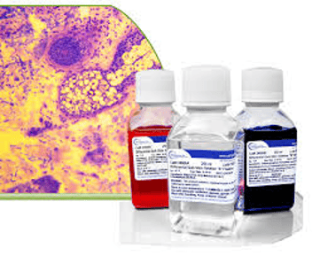 Differential Quick Staining Kit (Modified Giemsa)