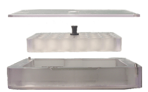 24 Meshwell Plate with Tray and Lid 24 Meshwell Plate with Tray and Lid