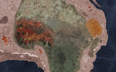 the corona virus in EM pictures in recent years on excellent TIME journal