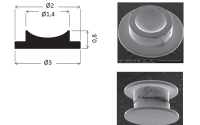 A new HPF specimen carrier adapter for the use of high-pressure freezing with cryoscanning electron microscope: two applications: stearic acid organization in a hydroxypropyl methylcellulose matrix and mice myocardium