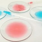 Verre De Montre Ou Coupelle