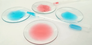 Verre De Montre Ou Coupelle