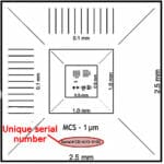 Étalon d'étalonnage de grossissement traçable EM-Tec MCS-1TR-XY, 2,5 mm à 1 µm dans les directions X et Y