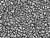 31-021100EM-Tec Au on C resolution standard 1 10-100nm-small