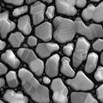 31-021200 EM-Tec Au on C resolution standard 2 30-300nm-small