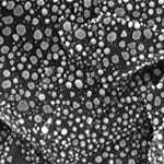 31-021300 EM-Tec Au on C resolution standard 3 3-50nm-small