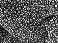 31-021300 EM-Tec Au on C resolution standard 3 3-50nm-small