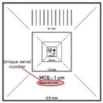 31-T31000 EM-Tec MCS-1CF certified calibration standard-small