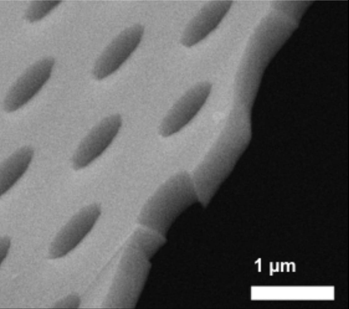 Microporous Membrane Chips – Image 2